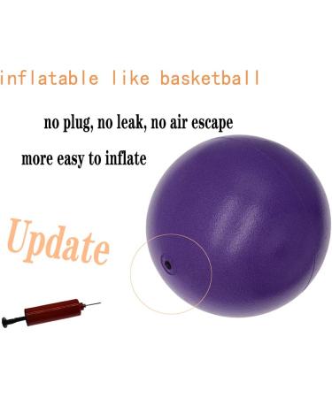 Purple 8-Inch Exercise Ball with Pump - Mini Yoga & Pilates Ball for Core Stability & Physical Therapy - Buy Online on GoSupps.com