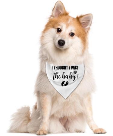 I Thought I Was the Baby Dog Bandana | Stylish Dog Scarf for All Sizes | Pregnancy Annion Design - White Opulent Garden - Buy Online on GoSupps.com