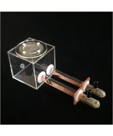 RANARA Ant Breeding Nest Ant Farm Display Box 15MM Double Hole Simple Test Tube Ant Nest Small Community Breeding Ant Farm (Color : Transparent)