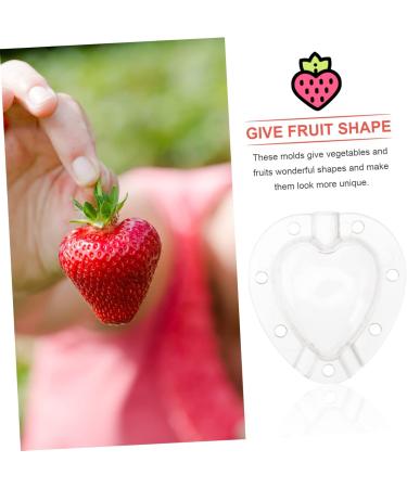 Kisangel 5pcs Fruit Shaping Vegetables Cucumber Fruit Shaper Cherry Tomatoes Stereotypes - Buy Online on GoSupps.com