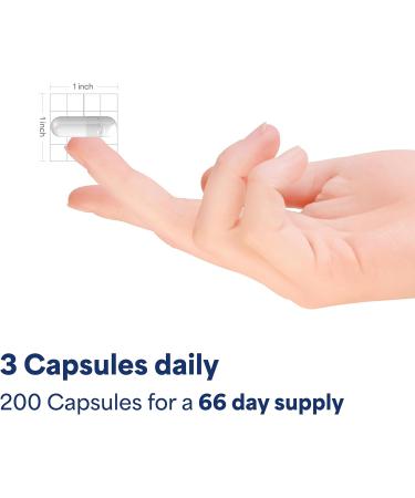 Puritan's Pride Cinnamon 500mg Supports Healthy Sugar Metabolism & Heart Health 200 Capsules 200 Count (Pack of 1) - Buy Online on GoSupps.com