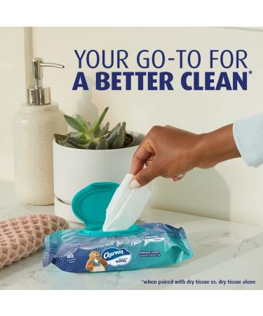 Charmin Flushable Wipes - 480 Total Wipes, 12 Packs of 40, Packaging May Vary - Buy Online on GoSupps.com
