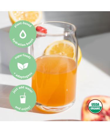 Buy Sprout Living Colorfuel Hydration Powder | Organic Superfoods & Adaptogens for Electrolyte Support | Lemon Citrus Flavor (25 Servings) - International Shipping Available - Buy Online on GoSupps.com