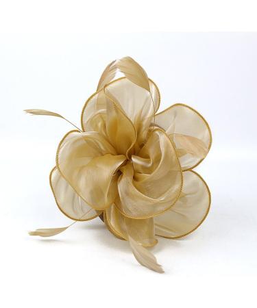 FRCOLOR Fascinator Feather Headband / Clip Party Wedding Royal Ascot Races Hair Accessories Headdress (Golden) - Buy Online on GoSupps.com