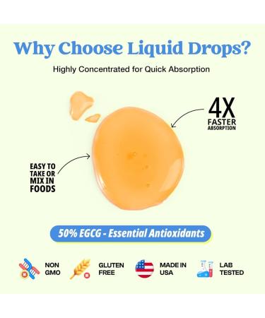 Green Tea Extract Liquid Drops - 1000mg - 50% EGCG - 2 fl. oz. Vegan Antioxidant Supplement for Skin, Heart, Brain Health & Memory Boost - Buy Online on GoSupps.com