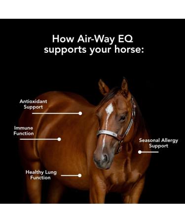 MVP Air-Way EQ (5lb) Supports Healthy Lung Function and Seasonal Allergy Support in Horses - Buy Online on GoSupps.com