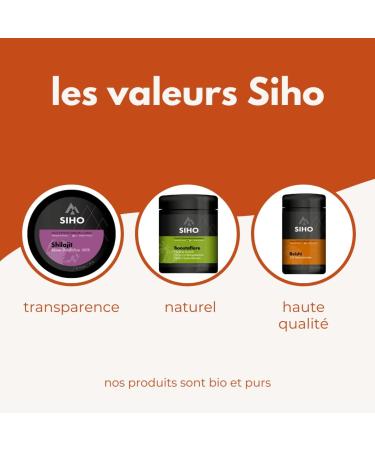 Siho - Organic Chaga Extract - Health and Immune System Dietary Supplement - Finnish Chaga 100% Organic Highly Bioavailable No Additives - Pot of 90 Capsules - Buy Online on GoSupps.com