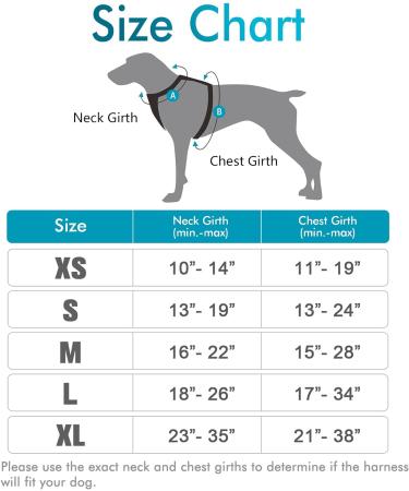 Rabbitgoo Medium Dog Harness - No Pull Adjustable Control Harness for Large Dogs Breathable & Safe Blue-Green (1 Pack) - Buy Online on GoSupps.com