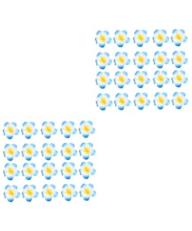 Beavorty 100 Pcs Frangipani Accessories Petals for Wedding Beach Hair Flower Diy Hairband Part Bride Bouquet 1 count (Pack of 1) Sky-bluex2pcs