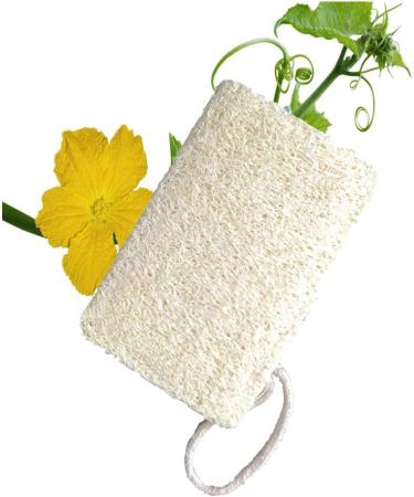 Natural Luffa Sponges for Kitchen Cleaning - Eco-Friendly Dish Scrubs for Pots & Cups - International Shipping - Buy Online on GoSupps.com