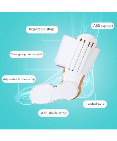Septpenta Bale Toe Corrector for Men & Women - Adjustable Orthopedic Solution with 180 Flexibility | Comfortable & Effective Toe Alignment - Buy Online on GoSupps.com