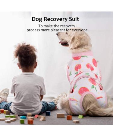 Kuoser Dog Recovery Suit for After Surgery - Breathable Leak-Proof Anti-Licking Body for Male & Female Dogs - Pink XXL - 1 Pack - Buy Online on GoSupps.com