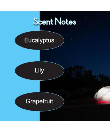 Beard Balm 2 oz | Nourishing Beard Conditioner for Men | Essential Moisturizer for Short & Long Beards | Healthy Hair & Skin - Under the Stars - Buy Online on GoSupps.com