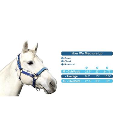 Kensington Premium Breakaway Halter XL-Lrg. Horse 181 - Kentucky Blue - Buy Online on GoSupps.com