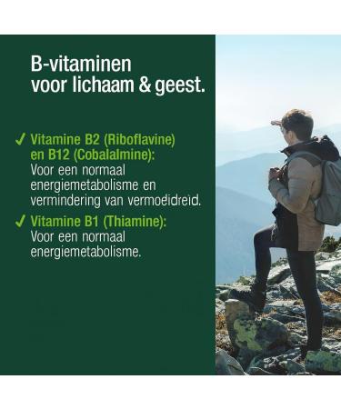 Vitactiv Natural Nutrition VITACTIV Energy Kick 90 Guarana Capsules with Matte Green Tea LTyrosine LTaurine plus B Vitamins Energy Capsules 100mg Caffeine Booster Vegan High Dose - Buy Online on GoSupps.com