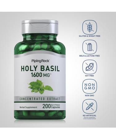 Piping Rock Holy Basil Capsules | 200 Pills | Herb Leaf Extract | Supplement for Women and Men | Ocimum Tenuiflorum | Non-GMO Gluten Free - Buy Online on GoSupps.com
