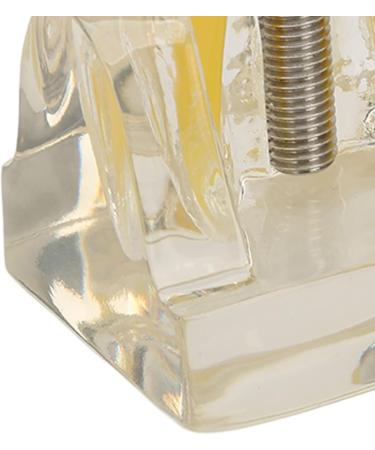 Verdant Touch Dental Implant Model | Transparent Dental Implant for Teaching & Research | International Shipping - Buy Online on GoSupps.com