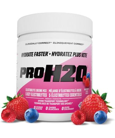 PVL Pro Series PROH2O | Advanced Hydration powder electrolyte powder with 5 key electrolytes no sugar carb free zero calories - 30 serving (255 G Berry Blast) Berry Blast 30 Servings (Pack of 1)
