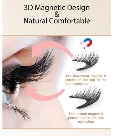 MOLAMOYA Magnetic False Eyelashes 12pcs - Easy to Wear 3D Natural Look Lashes - Buy Online on GoSupps.com