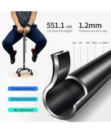 LED Light Walking Cane for Seniors - Telescopic Non-Slip Cane with 10 Height Adjustments & Travel Bag - Stable & Portable Walking Stick for Men & Women - Big 4 Feet - Black - Buy Online on GoSupps.com