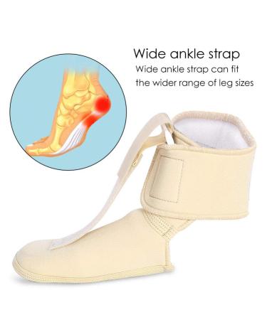 Plantar Fasciitis Night Splints & Drop Foot Brace | Adjustable Ankle Stabilizer Support Orthosis for Achilles Care - Buy Online on GoSupps.com