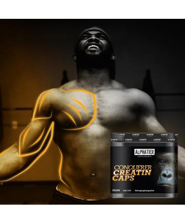 Buy Creapure Creatine Capsules - Vegan High-Dose 240 Caps - 750mg Pure Creatine Monohydrate from Alzchem Germany - International Shipping Available - Buy Online on GoSupps.com