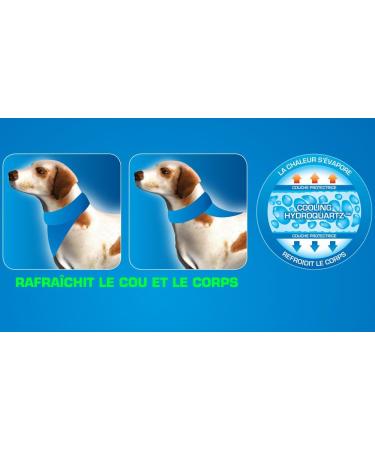 Aqua Coolkeeper Cooling Bandana for Dogs - 71-78 cm Pacific Blue | International Shipping Available - Buy Online on GoSupps.com