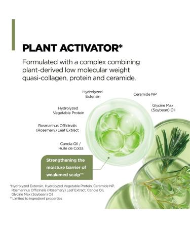 AMOS PROFESSIONAL Botanic Calm Activating Shampoo - Vegan Sulfate Free Hair & Scalp Strengthener with Rosemary & Biotin 16.9 fl. oz - International Shipping Available - Buy Online on GoSupps.com