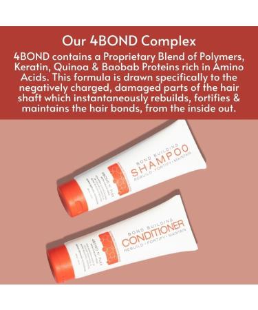 POWERTOOLS 4BOND - Shampooing Restructurant pour Cheveux Ab m s Shampooing R parateur Shampooing pour Cheveux Ab m s Contient de la K ratine des Prot ines de Baobab et de Quinoa - 240 ml 240 ml (Lot de 1) - Buy Online on GoSupps.com