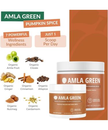 Amla Powder & Green Tea Superfood Supplement with Elderberry & Pumpkin Spice Organic Vegan 30 Servings - Buy Online on GoSupps.com