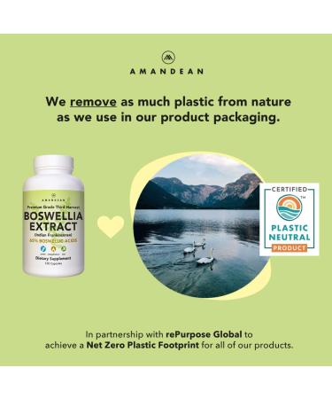 Amandean Boswellia Serrata Extract 500mg - 120 Veggie Capsules | Premium 65% Boswellic Acids with AKBA | Natural Ayurvedic Supplement for Inflammation & Joint Pain - Buy Online on GoSupps.com