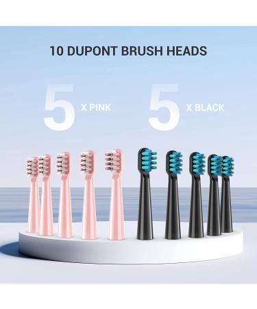 PHYLIAN Sonic Electric Toothbrush 2 Pack for Adults and Kids - High Power Rechargeable Toothbrushes in Black and Pink - 3 Hour Fast Charge for 60 Days - Buy Online on GoSupps.com