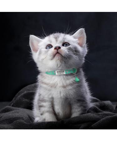 Tagme Reflective Cat Collar 2-Pack | Adjustable Name & Address Shield | Safety Lock & Bell for Kittens | Turquoise 15-20 cm - Buy Online on GoSupps.com