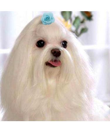 JpGdn 24 Pcs Dog Hair Bows Flowers with Rubber Bands Handmade Topknot Hair for Small Medium Puppy Doggies Kitten Cats Grooming Accessories - Buy Online on GoSupps.com