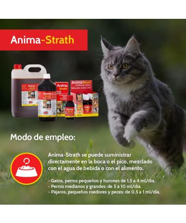 Anima Strath 100ml - Natural Immune Support & Energy Booster | International Shipping Available - Buy Online on GoSupps.com