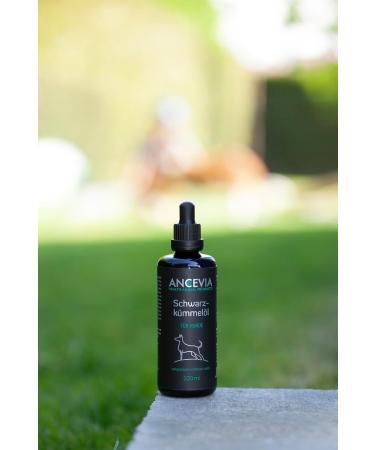 ANCEVIA Fresh Black Seed Oil 100ml for Dogs Pre-Order Now - Freshly Pressed to Order - Cold Pressed NATI Egyptian - Buy Online on GoSupps.com