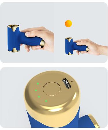 High Speed Design Electric Hair Dryer Bladeless Handheld Dust Blower Portable Mini Fan for Camping Various Pets (Blue) - Buy Online on GoSupps.com