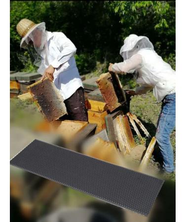 BEEXTM Plastic Foundation Sheets 10-Pack - Waxed Coated Lang's Beehive Bee Frames - Portable Honeycomb Nest for Brood Box - Beehive Equipment - Wide Size - Buy Online on GoSupps.com