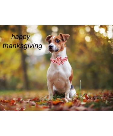 Shop Autumn Dog Collars - Halison Thanksgiving Dog Collar with Flower & Cotton Maple Leaf Design for Small Medium and Large Dogs - Buy Online on GoSupps.com