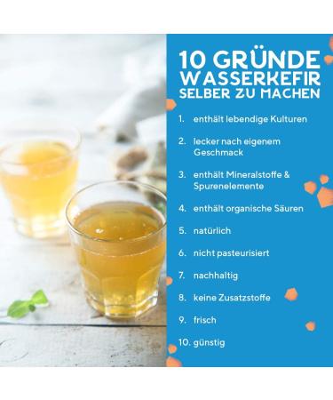 FAIRTENT Original BIO Water Kefir Crystals - 3x30g Starter Cultures for Guaranteed Success | Make Delicious Water Kefir at Home - Buy Online on GoSupps.com