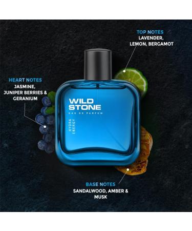 W_ild Stone Hydra Energy Premium Eau De Parfum for Men 100ml|Long Lasting Perfume|Luxury Perfume for Men - Buy Online on GoSupps.com