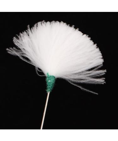 ORFOFE 4pcs Earwax Cleaning Kit Ear Cleaning Tools Earwax Remover for Adults Ear Cleaners - Buy Online on GoSupps.com