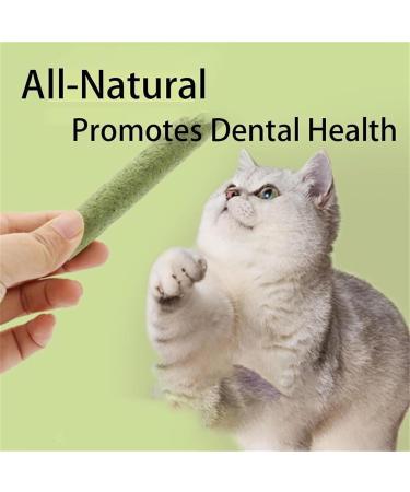 Cat Grass Teething Sticks for Indoor Cats Natural Cat Grass Sticks Cat Grass Chew Stick Chicken Cat Grass Tooth Grinding Stick for Hairball Removal (3-Pack) - Buy Online on GoSupps.com