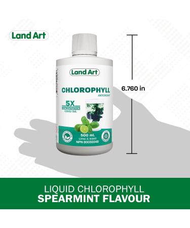 Liquid Chlorophyll Lime Basil 5X Concentrated 500ml Cold Extracted from Non-GMO Alfalfa - Detox - Alkaline - Natural Body Deodorant Antioxidant - Made in Canada - Buy Online on GoSupps.com