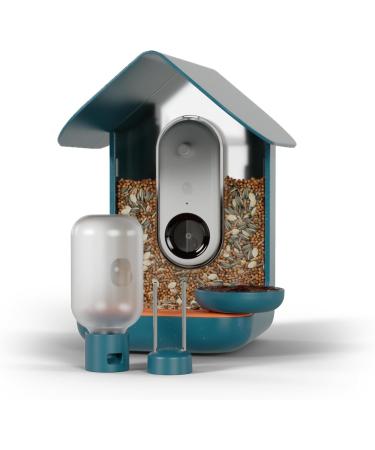 Bird Buddy Original 3-in-1 Feeding Set | Water Fountain Fruit Skewer & Jelly Tray - Blue Color | International Shipping - Buy Online on GoSupps.com