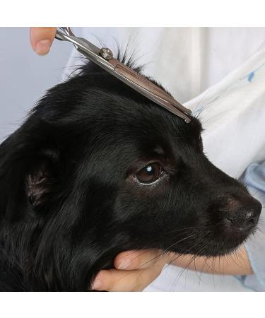 Professional Stainless Steel Dog Cups & Eye Cutters - Pet Care Tools | 17x6.6 cm - Buy Online on GoSupps.com