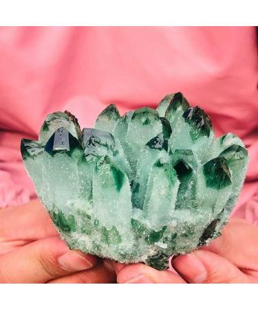 Natural Crystal Rough Green Ghost Phantom Quartz Specimens Gift (Size : 1000g) (Size : 1000g) - Buy Online on GoSupps.com