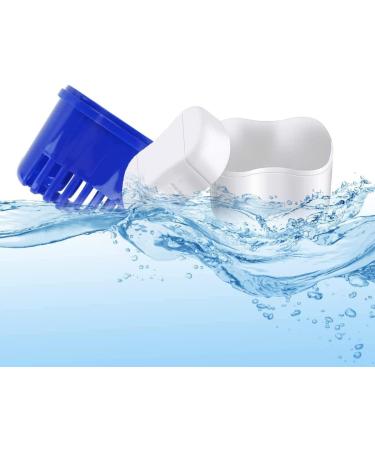 2 dentures case denture box 4 piece denture brush set denture container denture care set prosthesis tooth dental false teeth storage box denture case with denture cleaning brush - Buy Online on GoSupps.com
