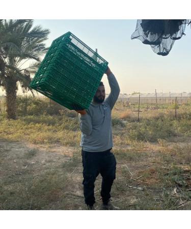  NABALI FAIRKOST F R ALLE NABALI FAIRKOST Dates Soft Sukkari Double Pack I Quality Product - 100% Natural Fresh Oriental Fragrance & Vegan I Origin: Qassim I Sukari Dates with Honey and Caramel Taste I 2 x 1 kg (2 kg) - Buy Online on GoSupps.com