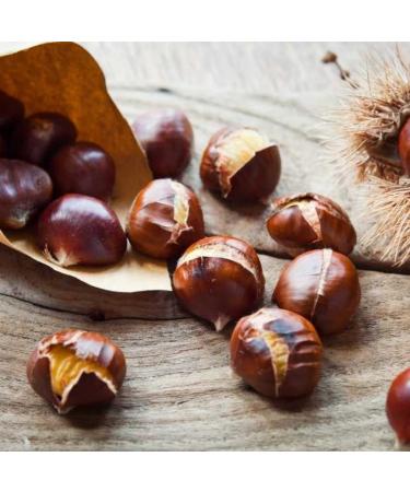 Titiz 18x125g Super Value Pack - Cooked Ready to Eat Tender Sweet Chestnuts | Vegan Unsweetened Gluten-Free - Buy Online on GoSupps.com